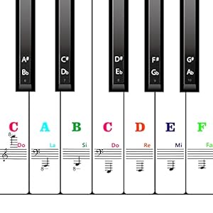 AIEX Piano Keyboard Stickers for 88/61/54/49 Key, Piano Notes Stickers Removable and Clear Piano Keyboard Letters for…