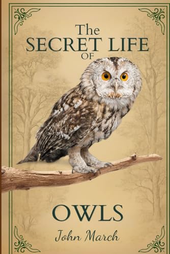 The Secret Life of Owls
