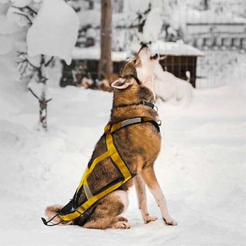 Hundegeschirr zum Ziehen, verstellbares Hundegeschirr für Schlittenübungen mit reflektierenden Streifen, Haustierschlitten, Radfahren, Skifahren, Laufen, Canicross, Rollen, für durchschnittliche Hunde