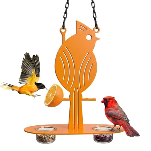 DUOYOUNG Bird Feeder with Clear PP Bowl and Perch