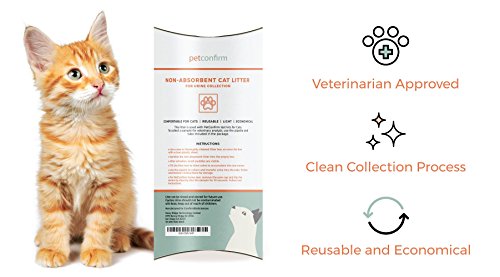 non absorbent cat litter