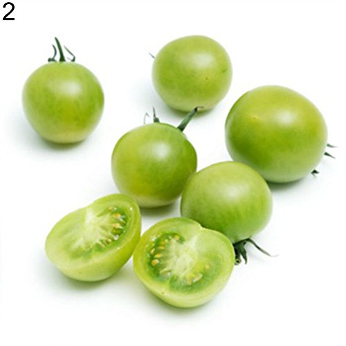 Tomato Seeds,Catkoo 200Pcs Rainbow Tomato Seeds Garden Organic Fruit Vegetable Plant Home Yard Decor - Green