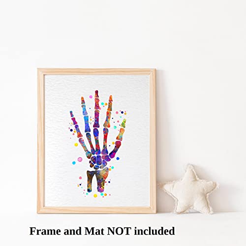 Image of Dignovel Studios 11X14 Unframed Hand Bone Human Anatomy Medical Science Doctor Clinic Hospital Watercolor Art Print Poster DN715