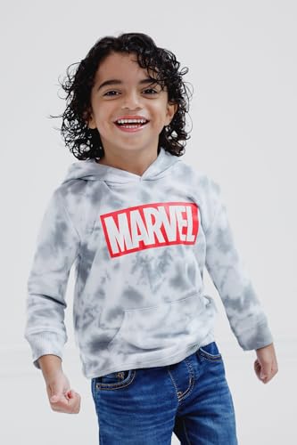 Marvel Avengers Toddler Boys Fleece Pullover Hoodie Tie Dye/Gray 2T2