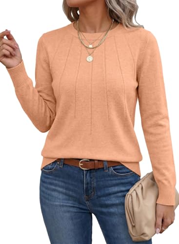 Image of SHEWIN Womens Sweaters 2026 Casual Crewneck Long Sleeve Lightweight Knit Pullover Sweater Tops Fall Clothes