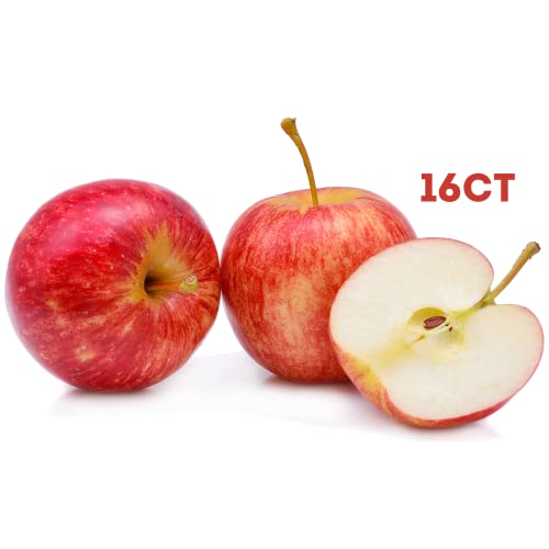 Fresh Gala Apples (16 Count) - Healthy Family Fruit Snack Pack - Fruit Produce For Delivery - Gala Apple Gift Pack #TOP1