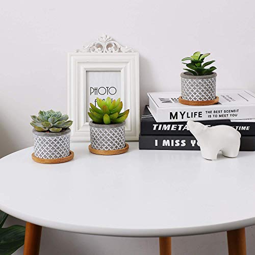 T4U 3 Inch Planter Pot Bamboo Saucer Round Set Of 12, Succulent Pot Holder Drainage Tray For Most Small Ceramic Succulent Planters Holding Drainage Water #TOP1