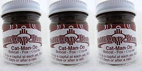 Top 10 Coon Bait For Trapping of 2021 - Savorysights