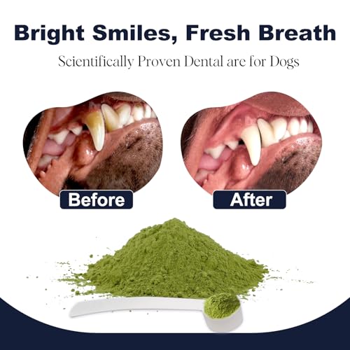 Image of Dog Breath Freshener Dental Powder-Teeth Cleaning Powder for Dogs with Probiotics & Herbs-Plaque & Tartar Remover Oral Care-Chicken & Bacon Flavor-45 & 75 Scoops (45 Scoops, Bacon)