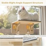 Pecute B0DTH6KCLK lato 4