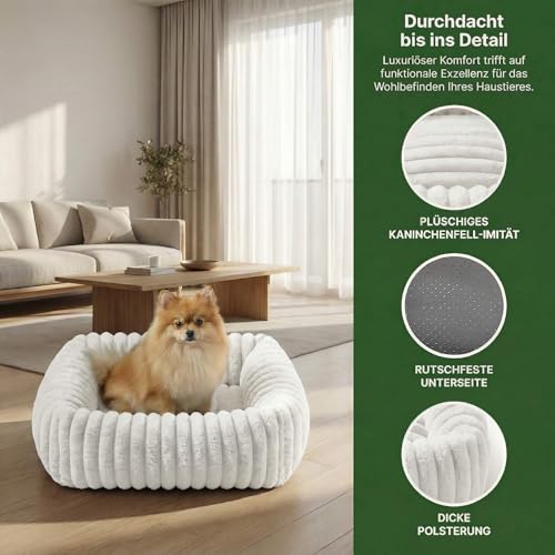 CareCooo Hundebett kleine Hunde & Hundekorb, Hundekörbchen waschbar, Hundesofa & Small Dog Bed rechteckig, Flauschiges Hundekissen für Welpen, weiß, M(63x53x18cm)