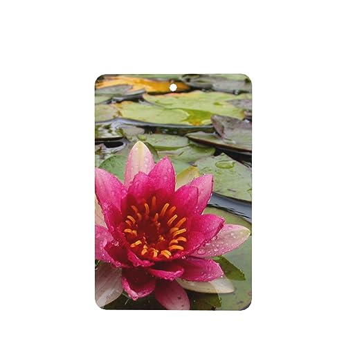 @̉ ԗpF p[\iCYꂽXCX J[A}Zs[^ubg ݂艺F܃J[h [vt 4 ԂƂ̑p