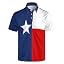 Style-12 Texas Flag