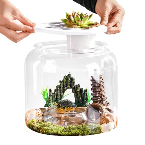 Réservoir de tortue d'eau transparent avec couvercle sécurisé
