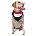 Yemen Flag Triangle Dog Bandana Scarf Accessories for Pet Bibs