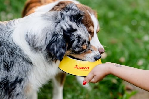 JOSERA Adult SensiPlus Ente & Reis (1 x 12,5 kg) | Premium Trockenfutter für ausgewachsene empfindliche Hunde | mit viel Biotin für gesunde Haut & Fell | hoch verdaulich | glutenfrei | 1er Pack