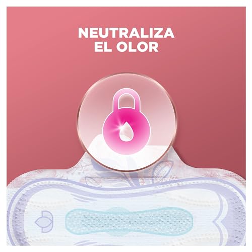 Miniatura 5 de 