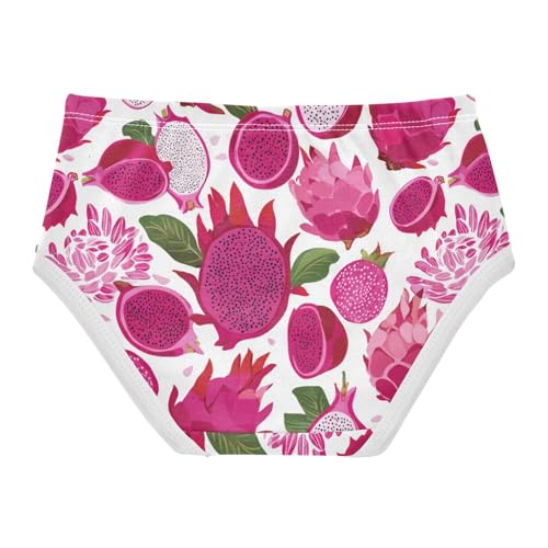 Wusikd Dragon Fruit Girls' Underwear Cotton Girls Briefs Soft Toddler Underwear 2T2