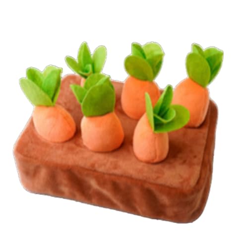 ɂ񂶂񂨂 ɂ񂶂 ɂ񂶂n eb\[ ybg Ԃ lQ  mߋ ʕ̔Fm _卪 J s XgX wP ^s j ̎q j̎q qaLO ybgpi