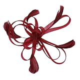 Braut Fascinator Schleier Kopfbedeckung Damen Mädchen Haar Clip Elegant Accessoire Cocktail Tea Party Haarklammer Kopfschmuck 20er 50er Jahre Stirnband Haarnadel Haarschmuck Kirche Hochzeit