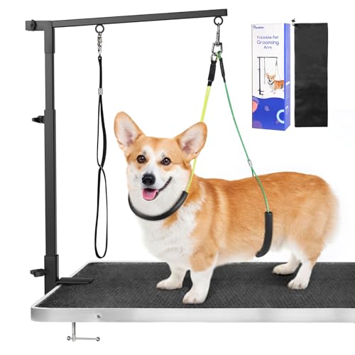 g~OA[ Pawaboo pg~OA[ O[~Oe[uɌŒ g~O ܂ g~OA[ g~O[ht Œ ^  NvŒ ͎ Lk\ gȒP [ܕt