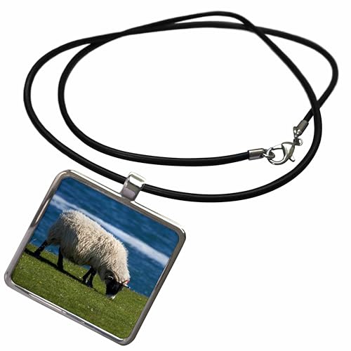 3dRose - Danita Delimont - Sheep - Sheep, England, United Kingdom - EU33 DWA0233 - David Wall - Necklace With Pendant (ncl-139870-1)