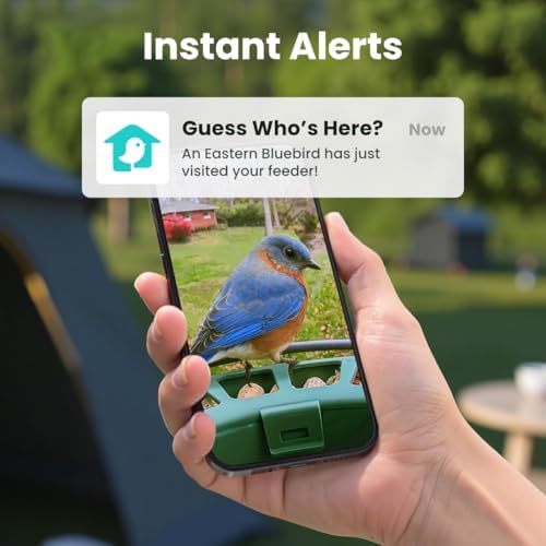 Birdfy 2 Smart Bird Feeder with Camera,Solar-Powered, Wireless Installation, Auto-Capture Bird Videos & Motion Detection, Gift Present - 3