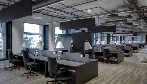 Steinel Connect Funktaster TapDuo C, smarter Wandtaster, kabellos, batterielos, Wandschalter, Einrichtung und Vernetzung per App