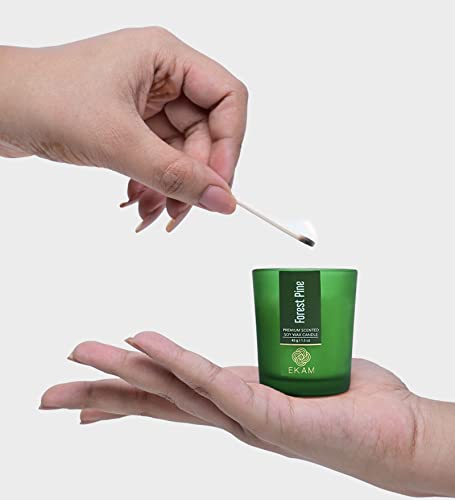 Image of EKAM Forest Pine Votive Soy Wax Scented Candle, 40 Grams, 10 Hours Burn Time| Long Lasting Premium Candles | Ideal for Home Decor | Gifting & Aromatherapy (Pack of 12)