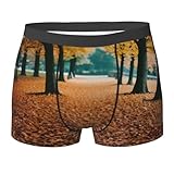 Design avancé : doté d'un design convexe de coupe tridimensionnelle de vaisseau spatial, le boxer offre un confort respirant et léger, répondant à vos besoins de confort tout au long de la journée.