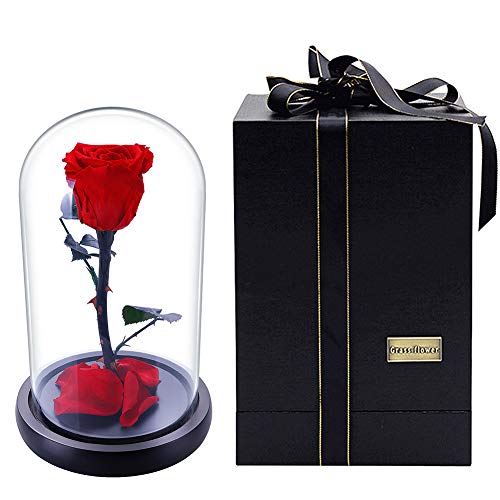 Janedream Preserved Fresh Rose Flower With Box 100 Real Rose Black Rose Gift Ideas For Valentine S Day Anniversary Birthday Buy Online In Grenada At Grenada Desertcart Com Productid Janedream Preserved Fresh Rose Flower With Box 100 Real Rose Black Rose Gift Ideas For Valentine S Day Anniversary Birthday Buy Online In Grenada At Grenada Desertcart Com Productid
