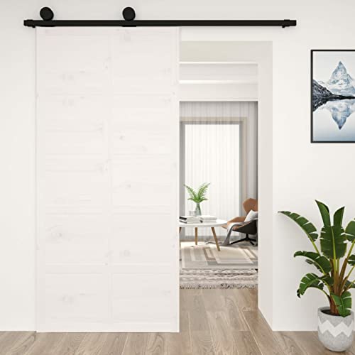 Questa porta del granaio in legno è un infisso elegante che consente di passare da un ambiente all'altro. È la soluzione perfetta per risparmiare spazio.