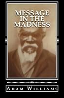 Message in the Madness 148198652X Book Cover