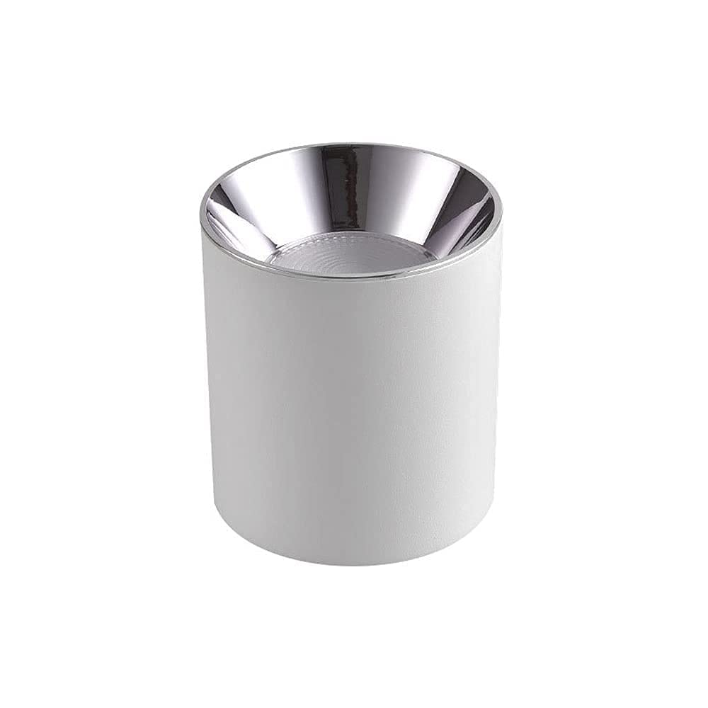 Projecteur de plafond orientable en aluminium blanc chaud pour salon