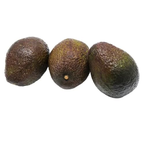 Ripe and Ready Avocado (PACK OF 3)