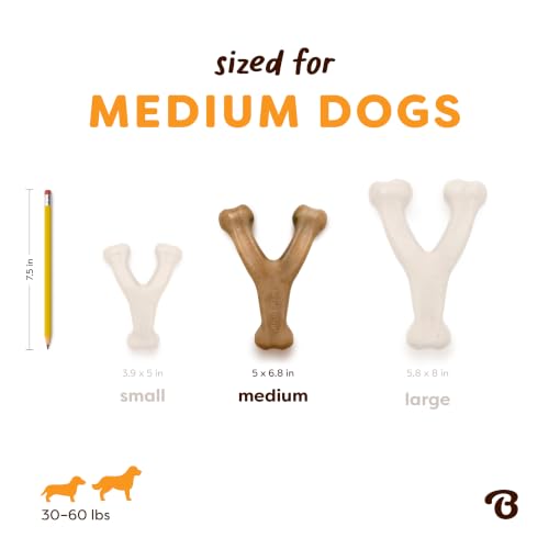Image of Benebone Wishbone Dog Chew Toy for Aggressive Chewers, Venison, Medium