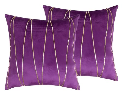Image of Amazon Brand - Umi Gold Leather Striped Pack of 2 Throw Pillow Covers Velvet Decorative Cushion Covers Cases for Sofa Bedroom Livingroom Car 24 x 24 in Purple Color