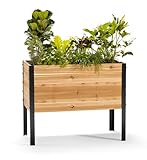 EARTH ELEVATED 100% Canadian Cedar Wood Elevated Garden Bed for gardening - planter pot to grow herbs flowers, and vegetables at home indoor and outdoor patio balcony deck - 18” x 36” x 30”