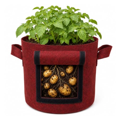 Image of Casa De Amor 15x12 Inch Potato Grow Bags for Root Vegetables, Geo Fabric 400 GSM Plant Bag (Maroon Color, Pack of 1)