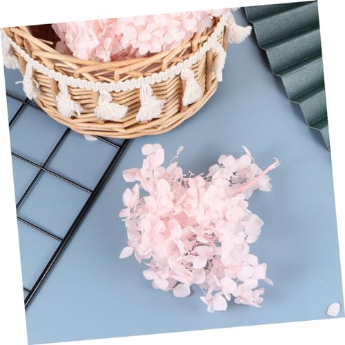 Pétalos secos naturales de hortensia rosa claro Garneck miniatura 6