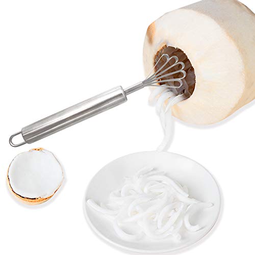 Honbay 2Pcs Stainless Steel Coconut Meat Scraper Fish Scaler Remover For Kitchen #TOP3