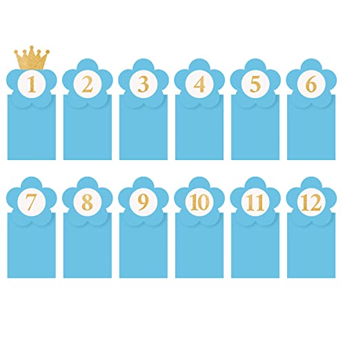 Image of ITAF Set of 12 Pcs First Birthday Decorations Hard Cardboard Kids 12 Month Flower Photo Frame Banner For One year Celebration New Born Baby Theme Decoration Kit - Blue 12 MONTH FRAME