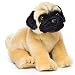Nat and Jules Pug Plush Toy, Small