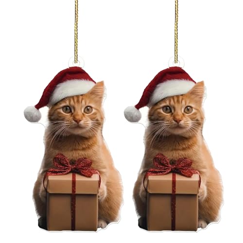 [PLCPDM] �g�����f�B�� �p�O�L�[�z���_�[����̌� 2D �A�N�����N���X�}�X�`���[���y���_���g�|�[�^�u���Ԃ�o�b�O�A�N�Z�T���[�N���X�}�X�y���_���g