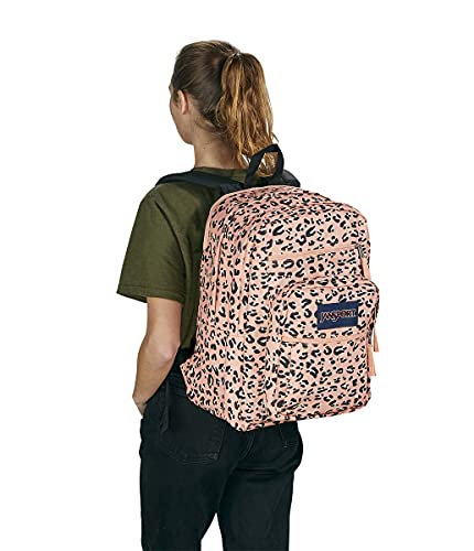 Image of JanSport