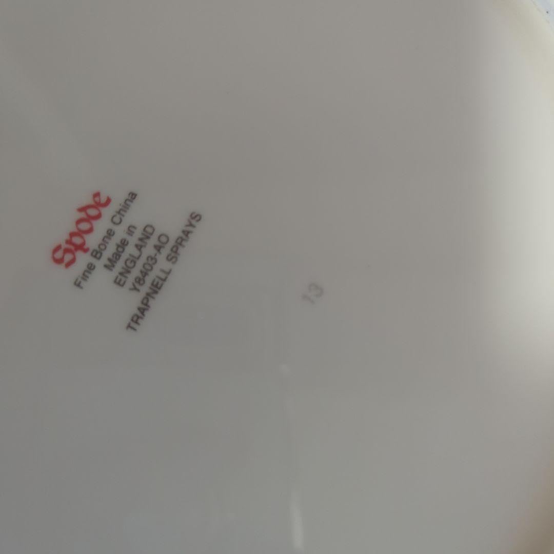 スポード トラップネルスプレイズ　大皿プレート　27センチ Amazon.co.jp: spode スポード トラップネルスプレイズ 大皿