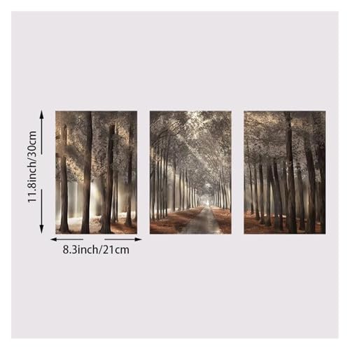 Cuadro sobre lienzo de 3 piezas XENITE con bosque brumoso y sol para decoración (21x30cm) 6