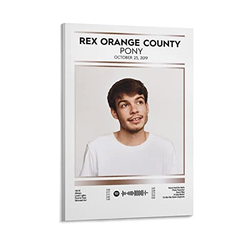 Poster Rex Orange County grande toile anti-reflet pour mur vide