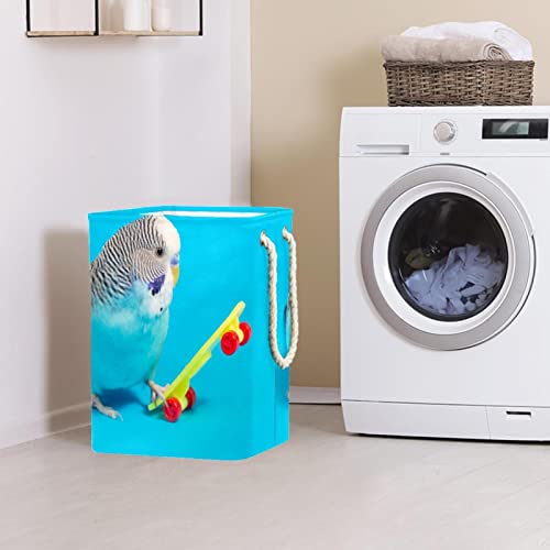 Sac à linge Melopsittacus robuste et grand bac de tri ergonomique