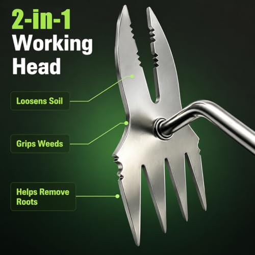 2-in-1 Stainless Steel Garden Weeder Puller, Heavy-Duty Weeding Tool with 4 Forked & Double Hook Teeth, Ideal for Lawns, Patios & Flower Beds, for Weeding, Tilling & Soil Loosening (Green-Small) - Image 6